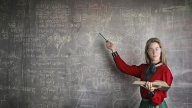 expanding modern educational solutions