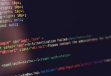 nippybox financial growth analysis