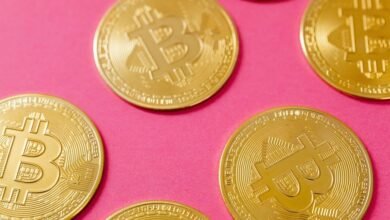 future of crypto networks