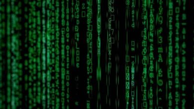 search for hidden data